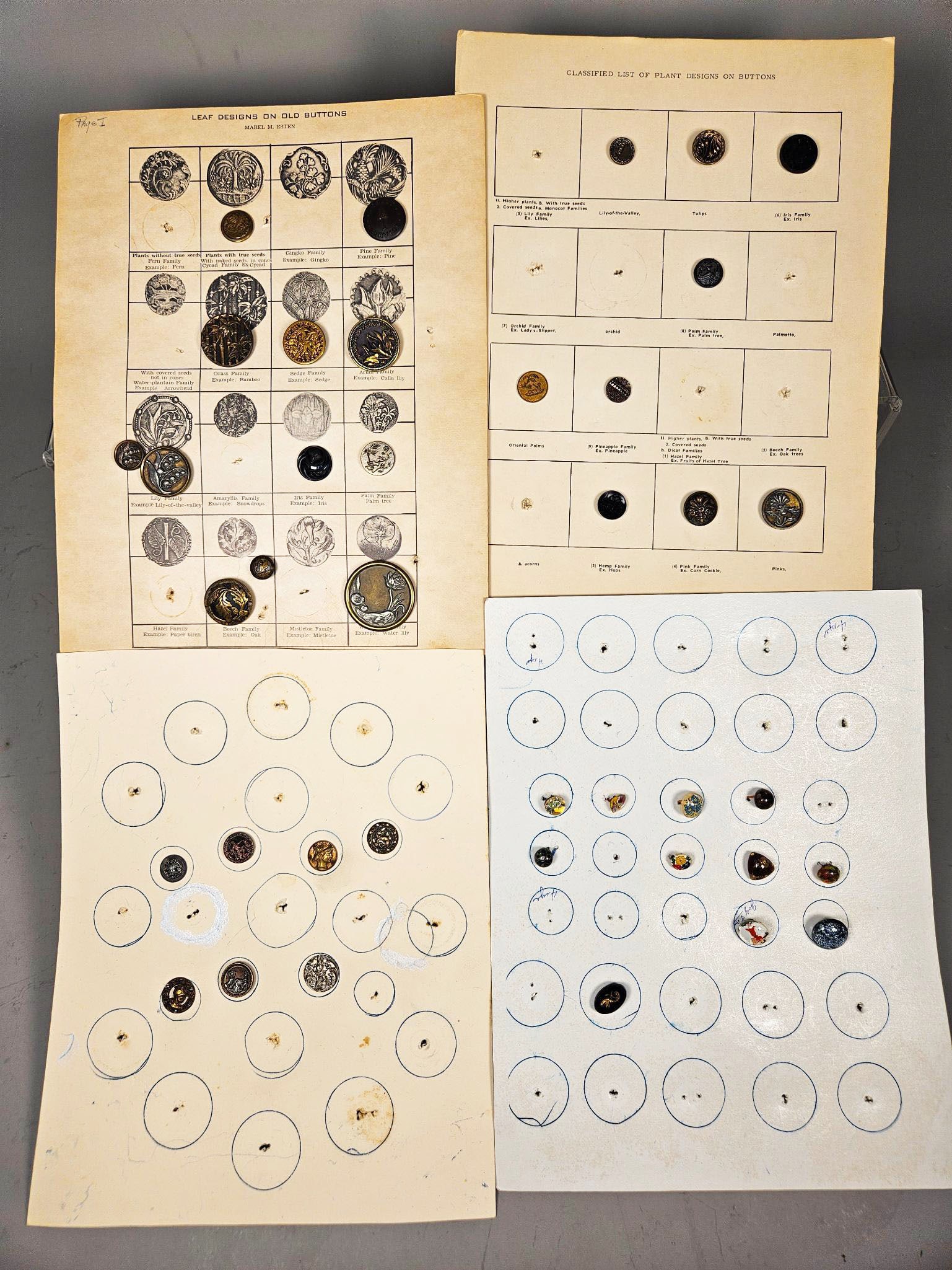 A Collection of Vintage and Antique Buttons on Mabel M. Esten Classified Sheets and Display Boards (1 of 19)