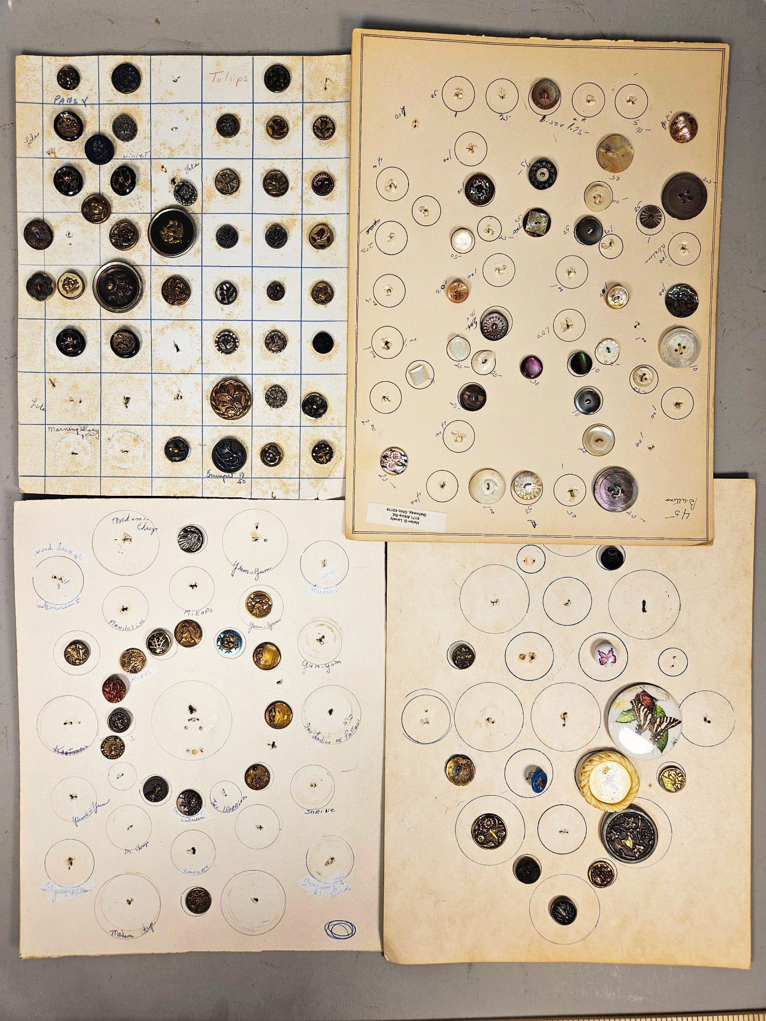 A Large Collection of Antique and Vintage Buttons, including Victorian Era Figurative, Floral, and: A large collection of several group of antique and vintage buttons, meticulously organized across multiple aged cardboard display boards. The buttons exhibit a wide range of styles, from naturalistic