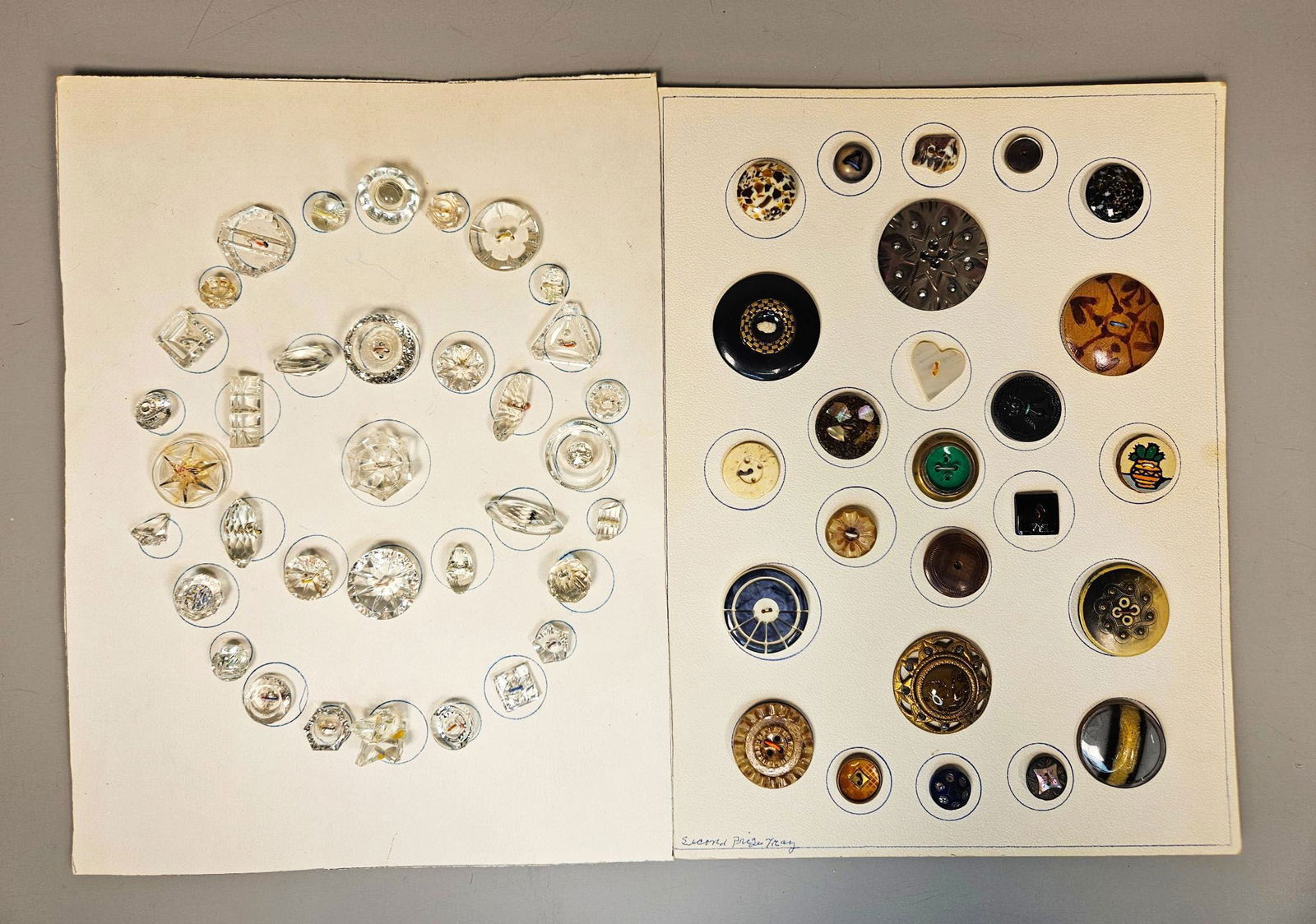 A Collection of Buttons on display cards. (1 of 19)