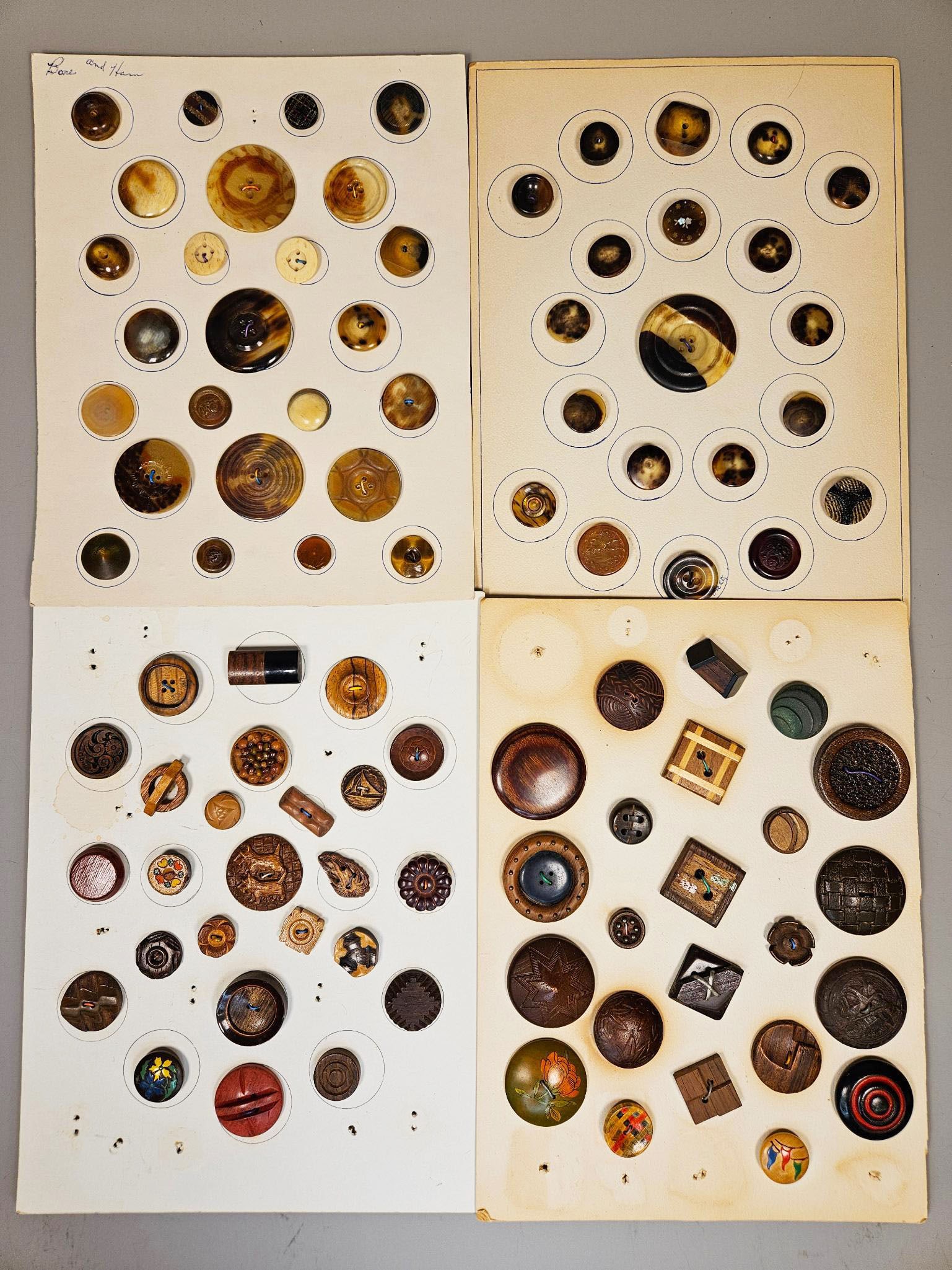 A Collection of Antique and Vintage Bone, Horn, Wood, and Early Plastic Buttons on group of Sample: A comprehensive group of antique or vintage buttons, presented across four cream and light gray cardstock sheets, likely forming part of a historical sample or sales album. The buttons exhibit a wide
