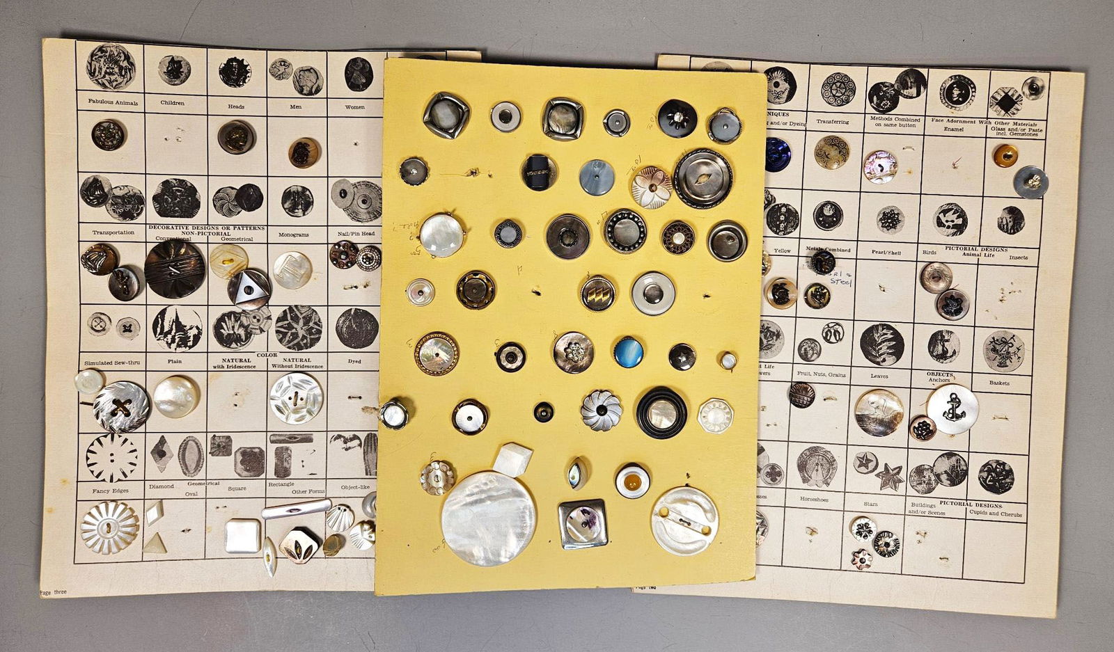 A Collection of Antique and Vintage Mother-of-Pearl and Abalone Shell Buttons on Classification: A comprehensive collection of predominantly antique or vintage buttons, meticulously displayed across three large, tan-colored classification charts, likely made of cardboard or heavy paper, and small