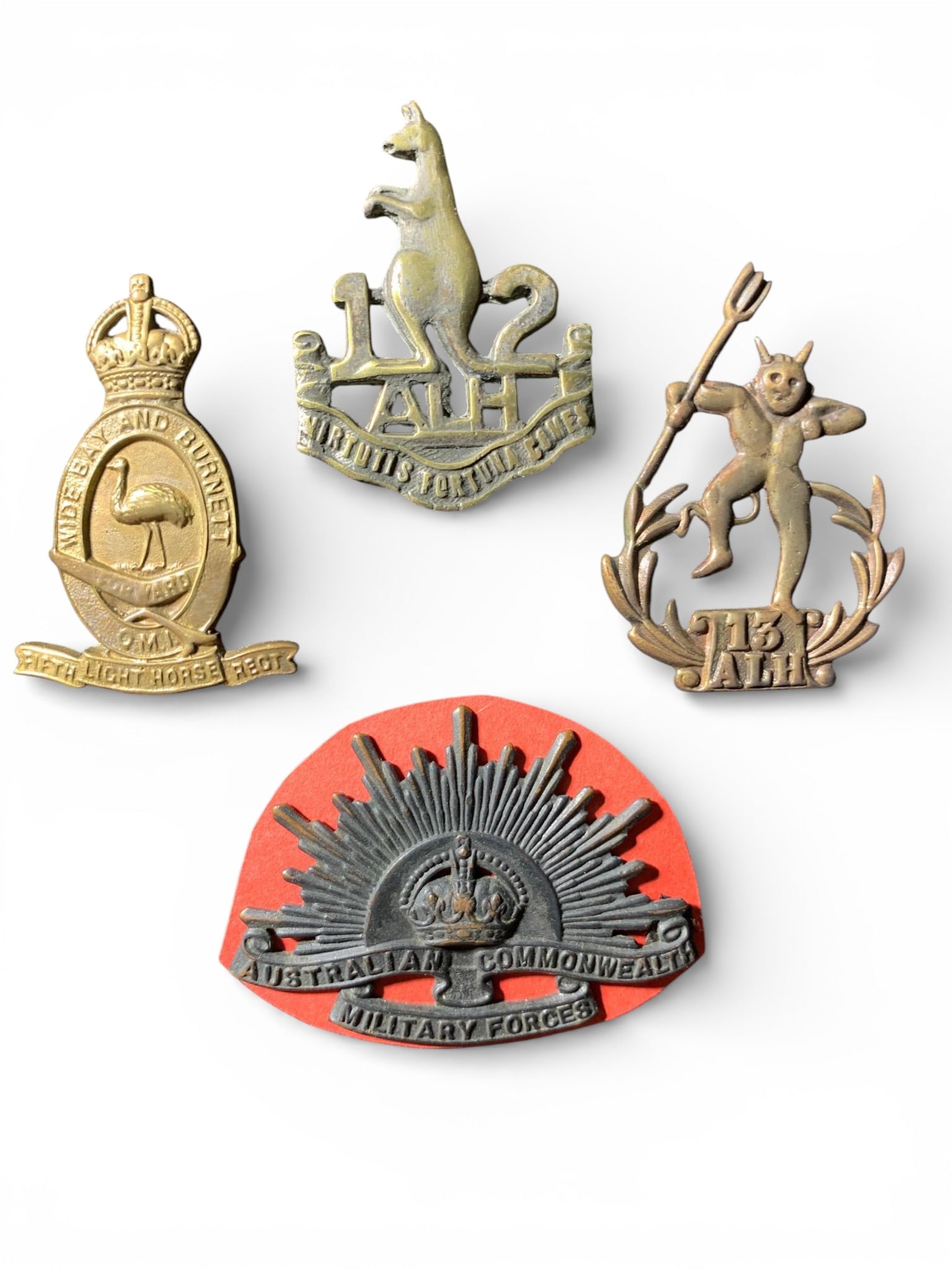 Australian Light Horse Regimental Display with Emu Plume and Badges: A mounted display featuring a collection of Australian military memorabilia, primarily associated with the Light Horse regiments. The rectangular board, covered in black fabric, presents an array of