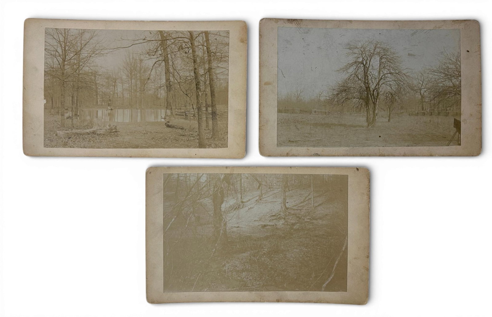 Civil War Shiloh 1895 Reunion Battlefield Photograph Lot: Three Cabinet card style photographs taken at the Shiloh Battlefield most likely during the 2nd Shiloh Battlefield Association Reunion in April 1895. These image are all identified on the reverse in b