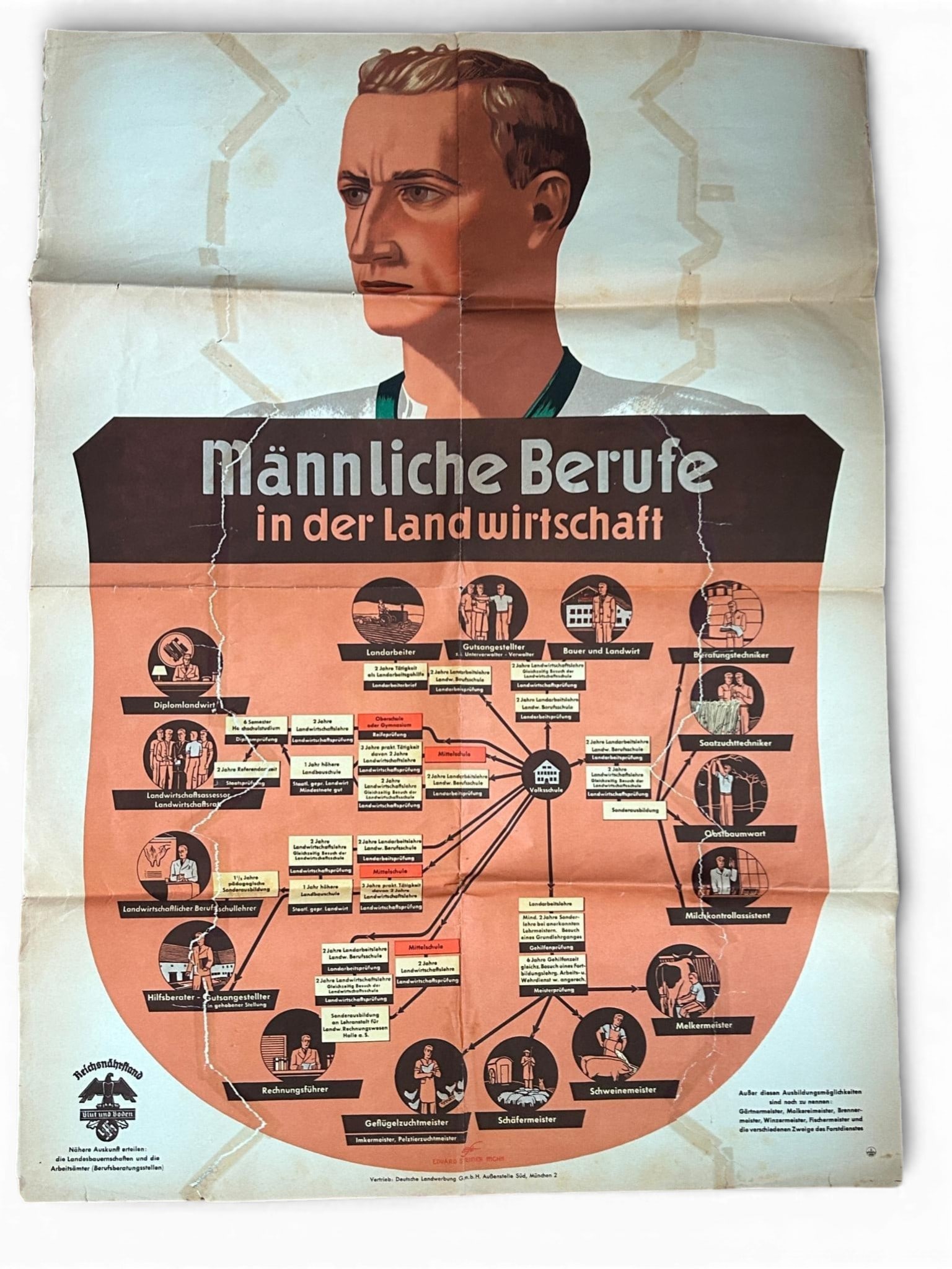 WWII Nazi German State Farmers' Association Poster: German WWII REICHSNDHRFTAND Blut und Boden (Reich Food Estate Blood and Soil) Poster. Measures 23.5 inches x 32.5 inches. Single sided poster that presents various agricultural career opportunities fo