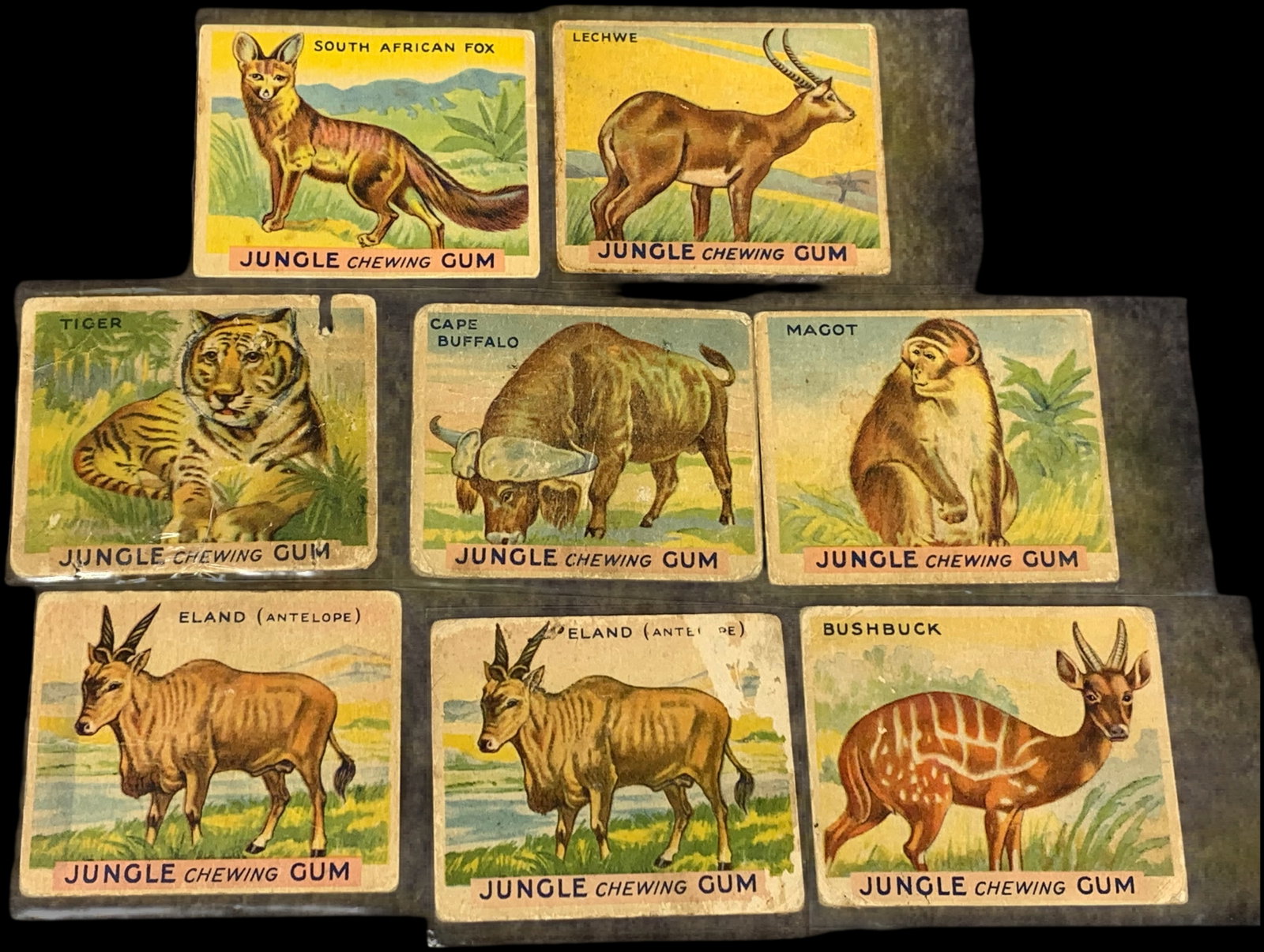 A Collection of Eight 1934 World Wide Gum Co R78 Jungle Chewing Gum Trading Cards (1 of 20)