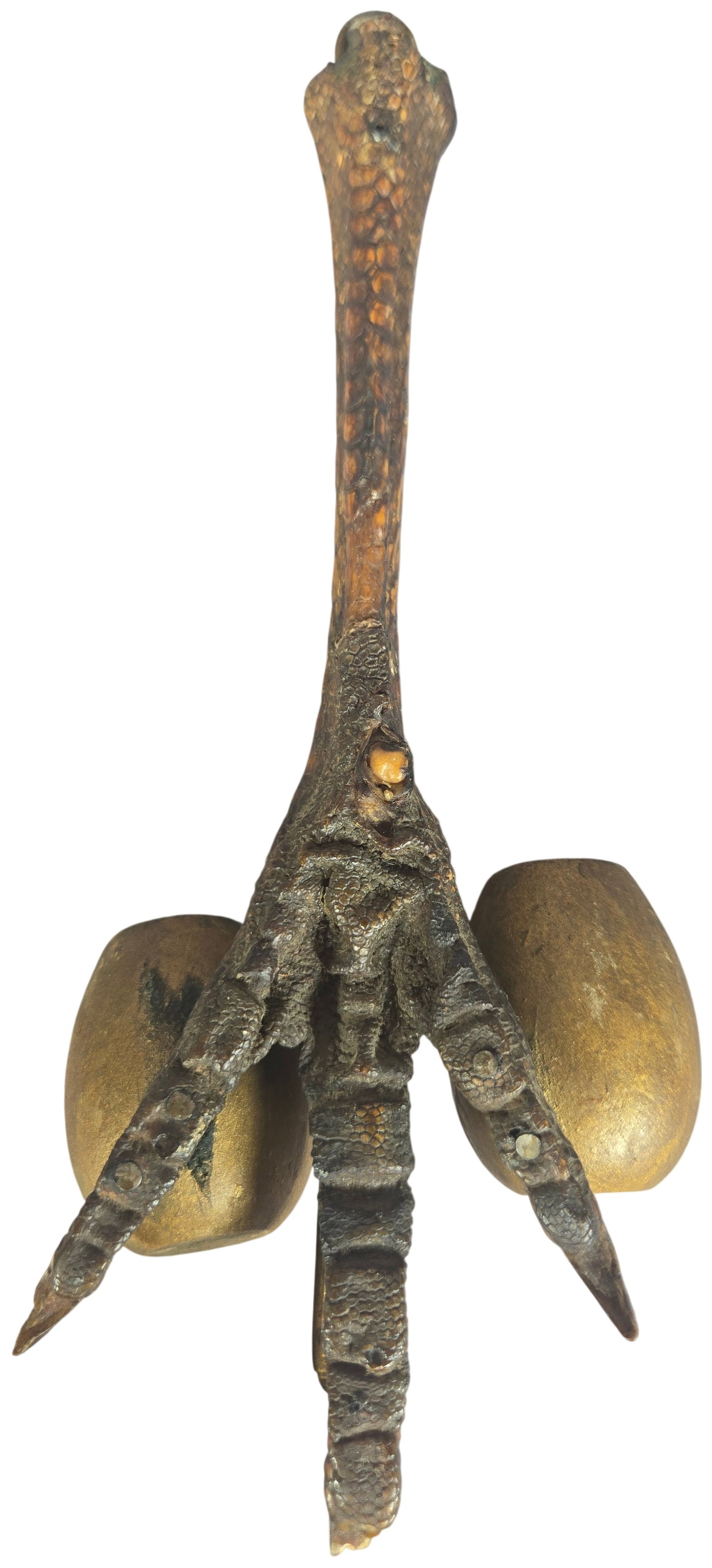 Antique Folk Art Preserved Wild Turkey Foot with Brass Decorative Elements (1 of 3)