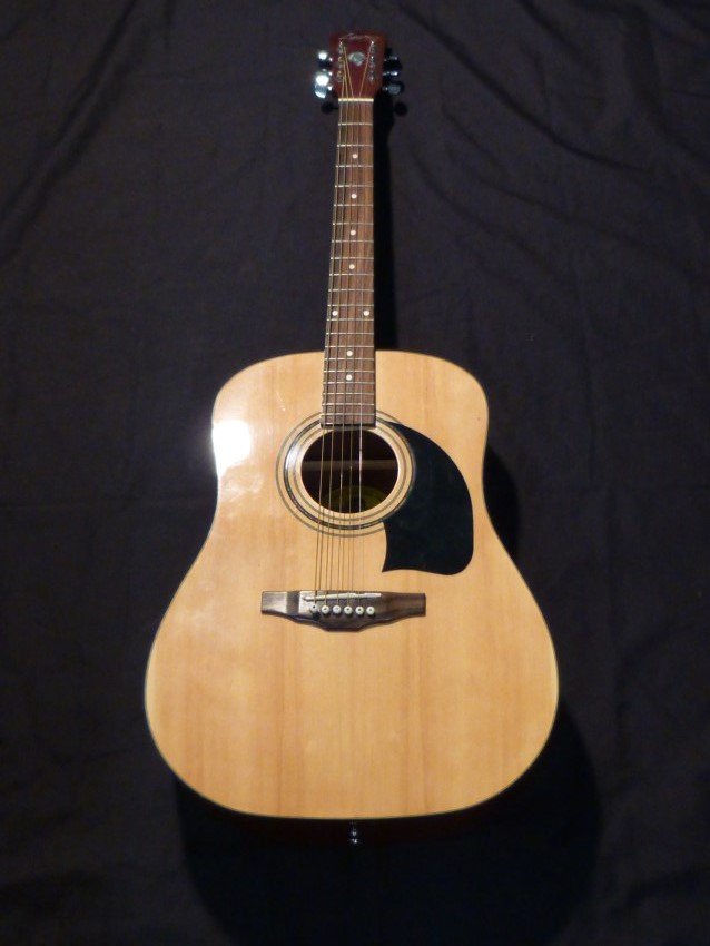 Lyon Washburn acoustic guitar.