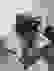 item-26746825=3