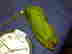 item-29641695=3