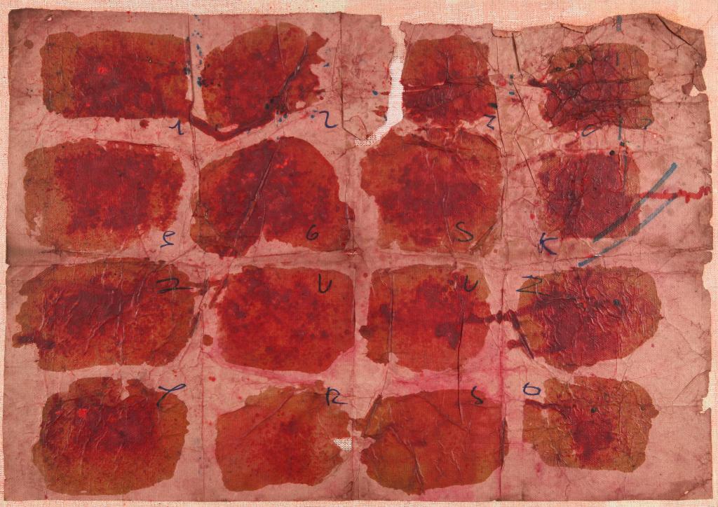 RENATA BOERO (1936-) Senza titolo: RENATA BOERO (1936-) Senza titolo 1984 colori vegetali su carta intelata cm 51x74 firmato e datato sul retro Untitled 1984 vegetal colors on paper on canvas 20,07x29,13 in signed and dated on the reve