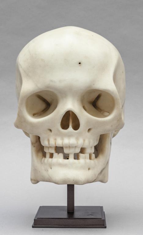 "Vanitas" teschio in marmo statuario, fine (1 of 2)