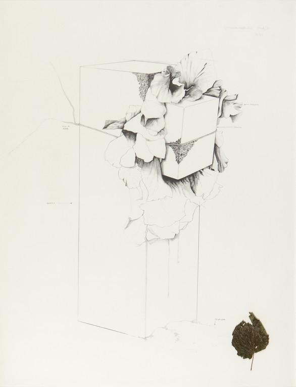 GIOVANNI ANSELMO (1934-) Struttura che mangia: GIOVANNI ANSELMO (1934-) Struttura che mangia l'insalata 1968/1972 collage (foglia) su serigrafia cm 88,5x68 esemplare 16/45 firmato, datato e numerato in alto a destra Struttura che mangia l'insalata