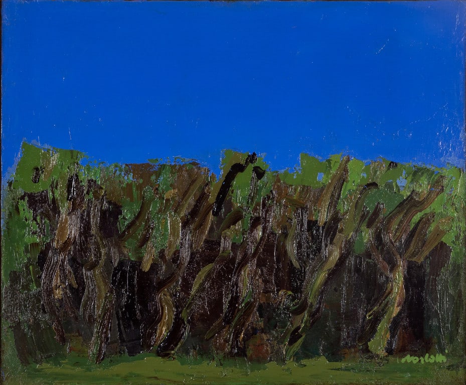 ENNIO MORLOTTI (1910-1992) Bosco di Ulivi: ENNIO MORLOTTI (1910-1992) Bosco di Ulivi 1970 olio su tela cm 50x60 firmato in basso a destra autentica dell'artista su foto a cura della Galleria Bottega d'Arte, Acqui Terme (AL) Bosco di Ulivi 1970