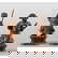 item-207511150=1