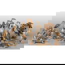 Interessante raccolta di 18 animali