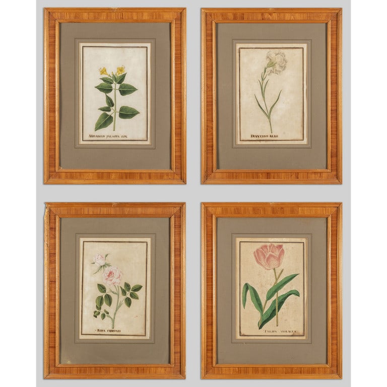 "Fiori" quattro acquarelli su carta, fine (1 of 5)