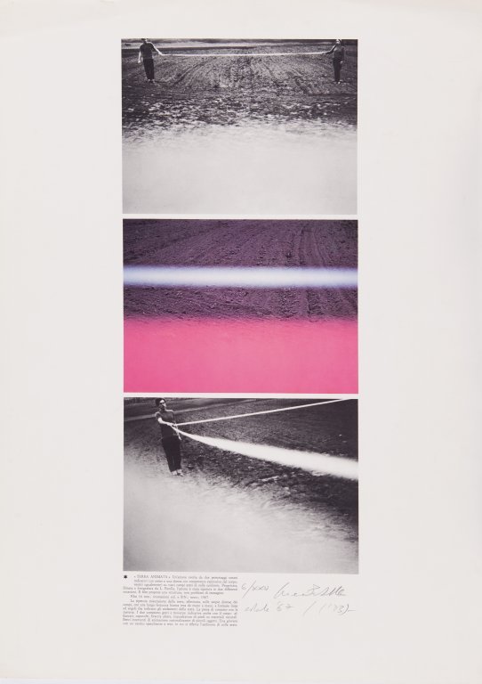 LUCAMARIA PATELLA (1938-) Terra animata: LUCAMARIA PATELLA (1938-) Terra animata 1967 serigrafia cm 70x50 esemplare 6/XXV firmato, datato e numerato in basso a destra Terra animata 1967 silkscreen 27,5x19,7 in edition 6/XXV signed , dated an