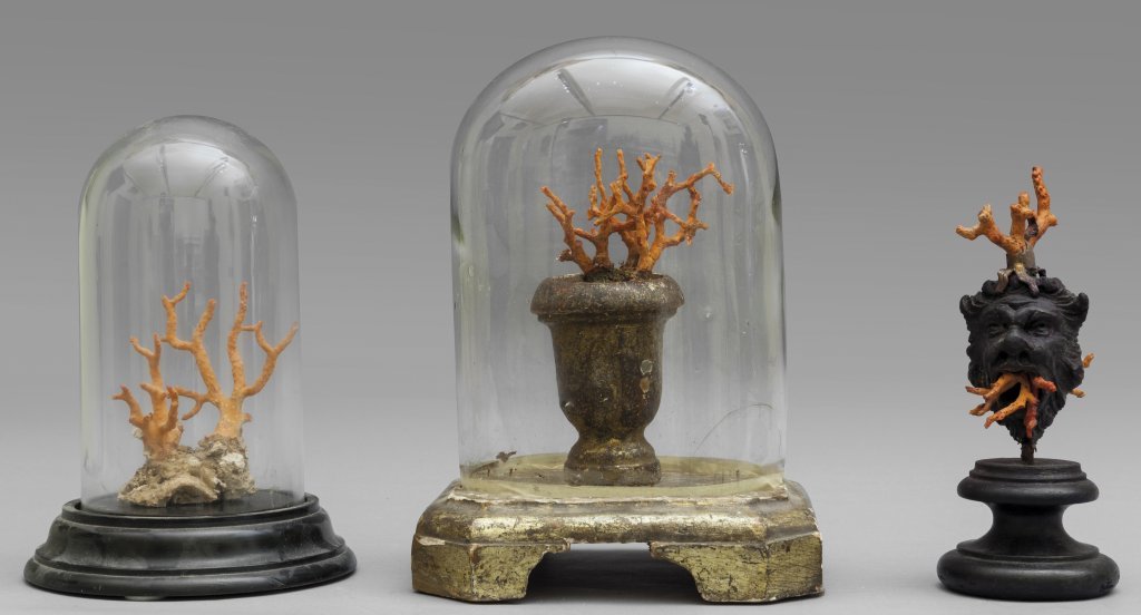 Due campane contenenti coralli e testa di leone (1 of 1)