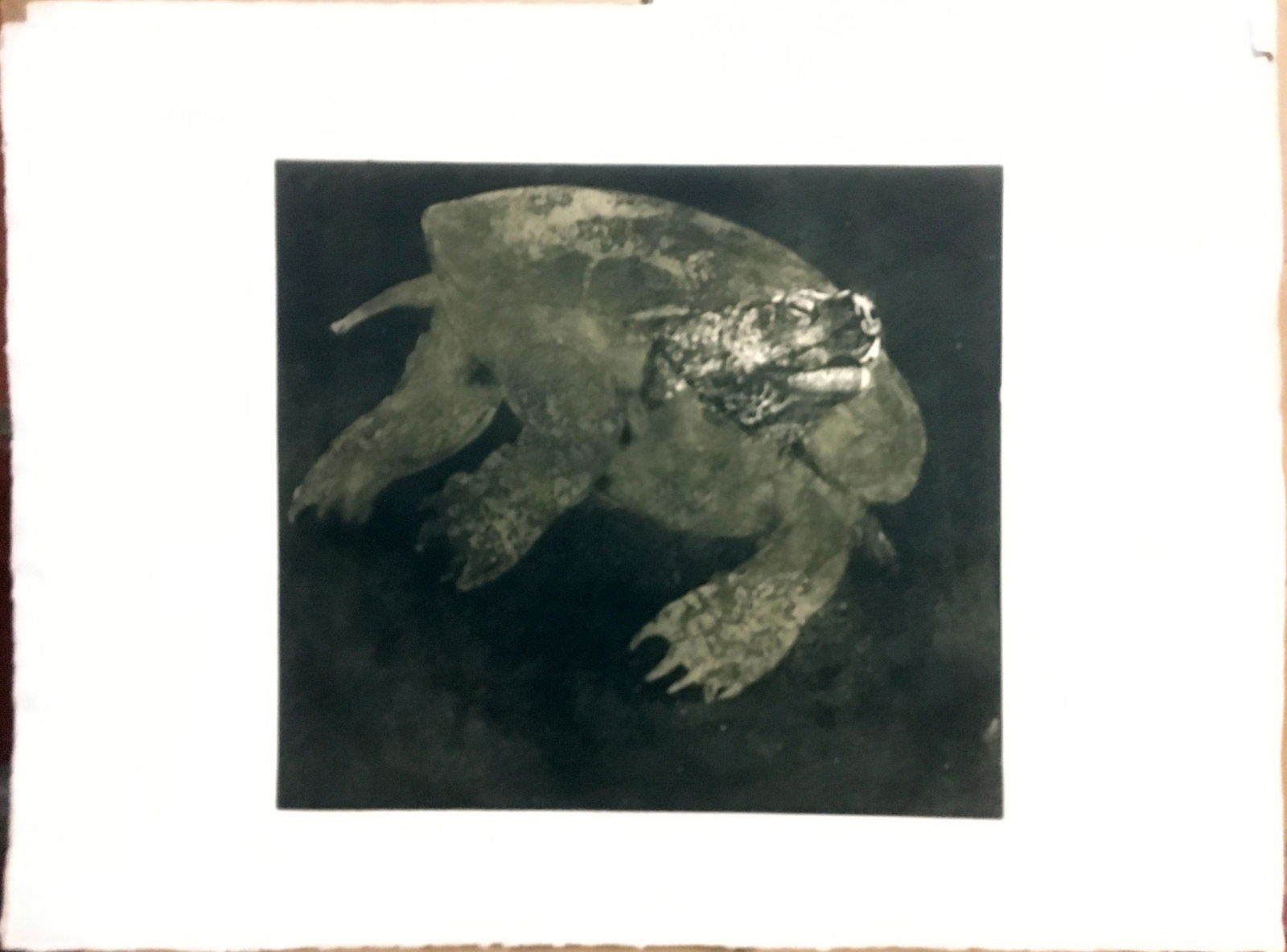 Thomas Cornell Etching (1 of 1)