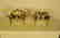 Large Matched Pair of Articulated Silver Plate Dishes - 2