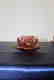 Set of 6 Lobmeyer Signed Cups and Saucers - 2