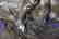 P.J. Mene Cast Bronze Statue of Horseback Rider - 8
