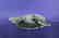 David Enn Signed Soapstone Carving of 2 Birds - 2