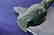 David Enn Signed Soapstone Carving of 2 Birds - 7
