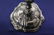 1784 Pair of Augsburg Sterling Silver Candle Holders - 5