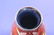 Signed Moorcroft Decorated Red Vase - 5