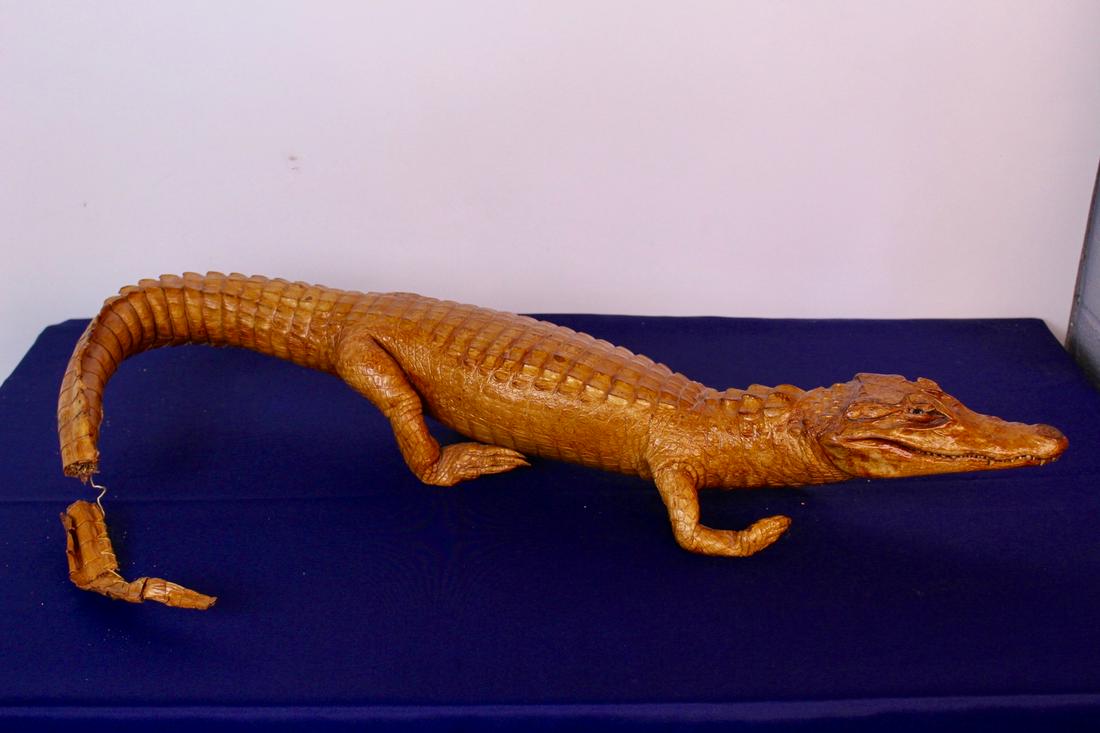 Unique Brown Leather Stuffed Alligrator: Unique brown leather stuffed alligator, measures 26.5"L x 6"D