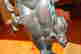 item-135083476=10