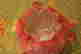 item-135083482=4