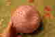 item-135083482=5