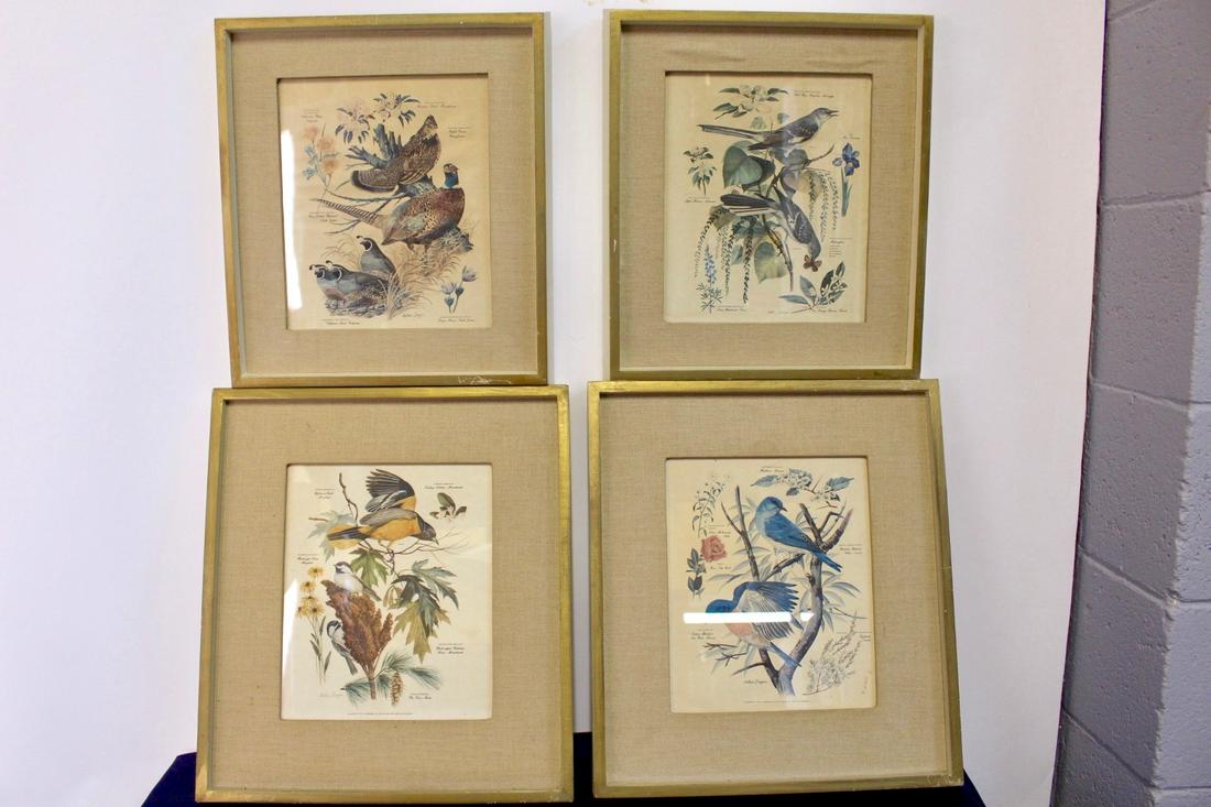 Arthur Singer Bird & Botanical Print
