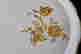 item-135929363=4
