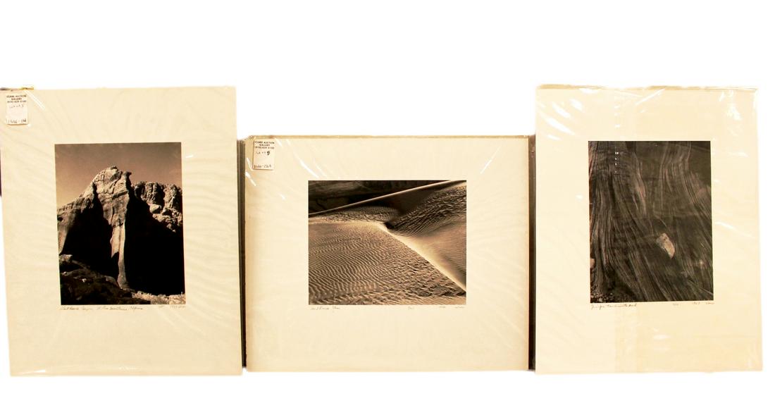 Photographs by William Webb (1 of 13)