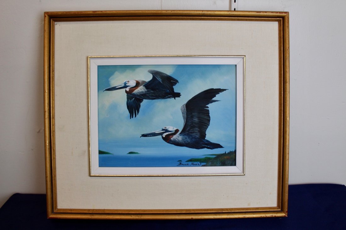 Painting of Two Pelicans by Bruce Muir: Painting of Two Pelicans by Bruce Muir. Framed and signed. Painting measures 12"x 9", frame measures 21" x 18".