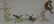 *4 HUTSCHENREUTHER FIGURES