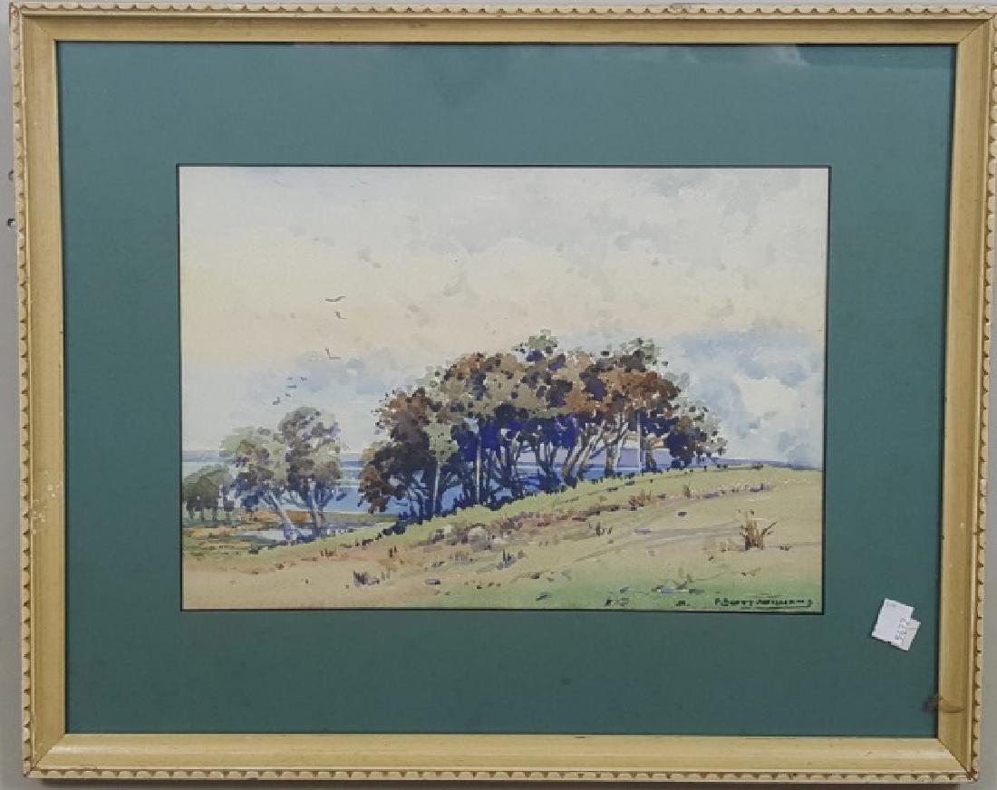 WILLIAMS, F. SCOTT (1 of 4)