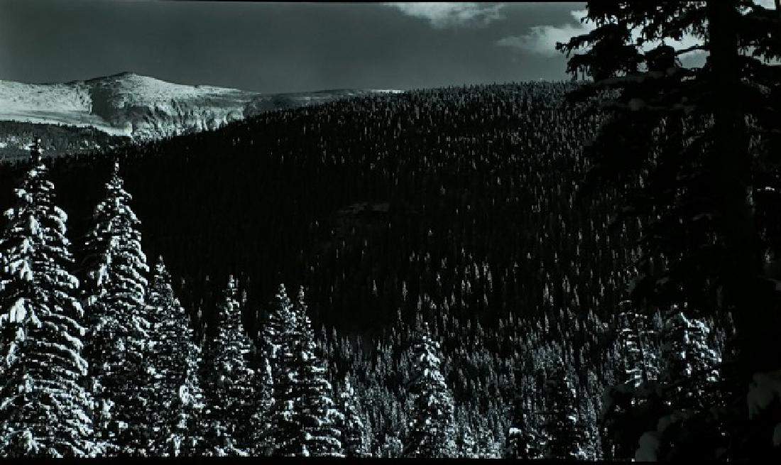 *SINSABAUGH, ART (1 of 6)