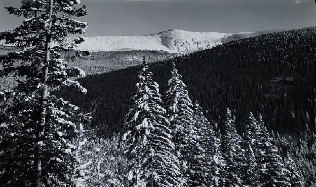 *SINSABAUGH, ART (1 of 8)