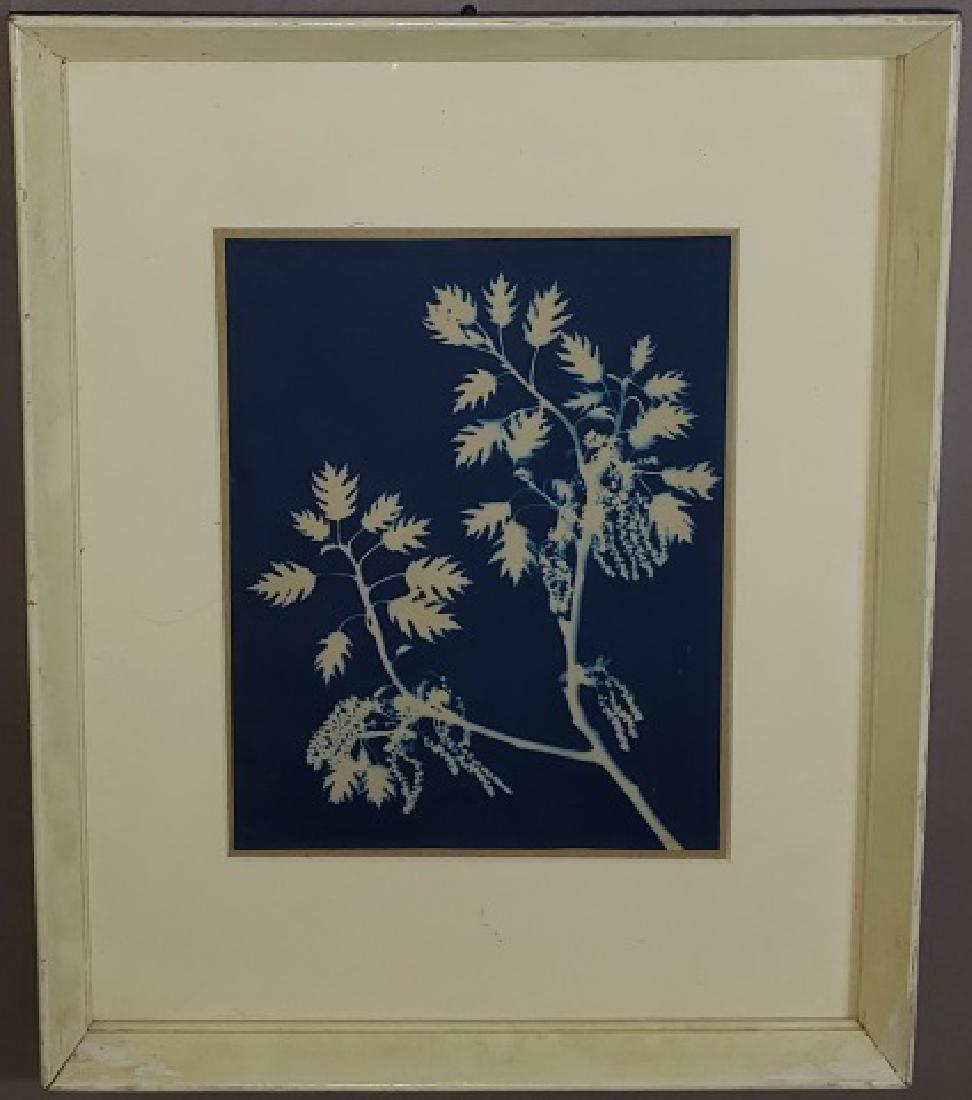 *JAQUES, BERTHA (1 of 1)