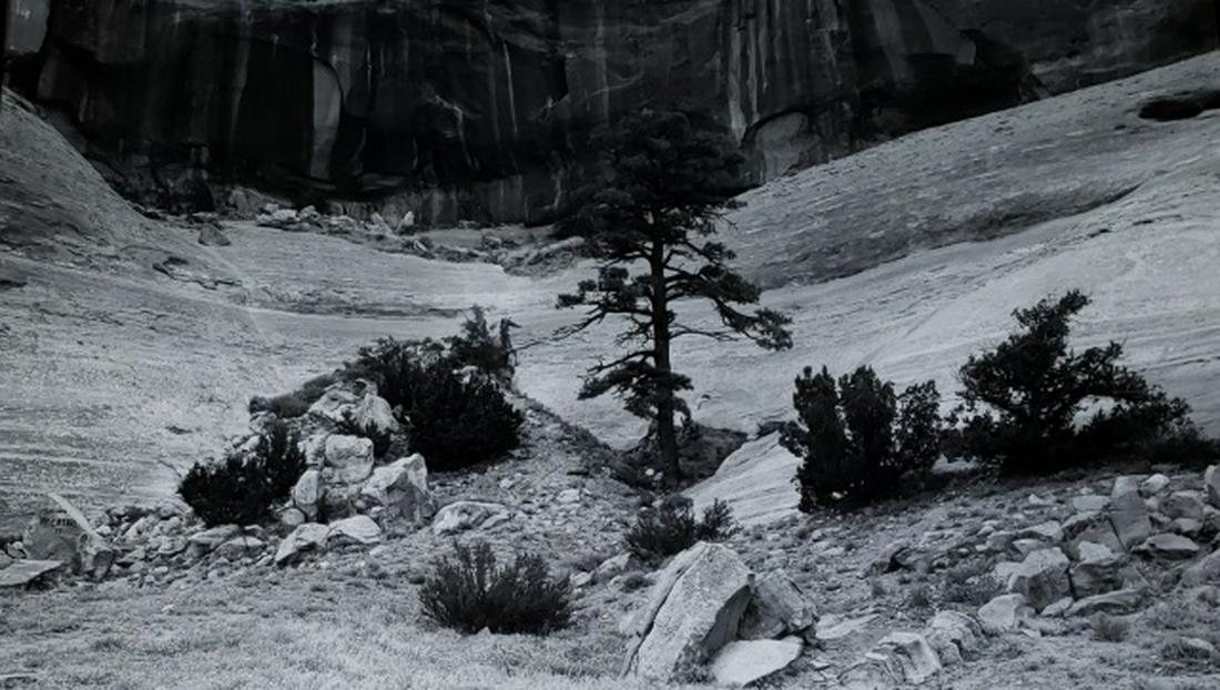 *SINSABAUGH, ART: (1924-1983 American) "Arizona Landscape #20, 1980", unframed gelatin silver photograph, artist proof #3, signed and inscribed to Franz and Dori Altschuler, approximate work size 16" x 20". Provenance: