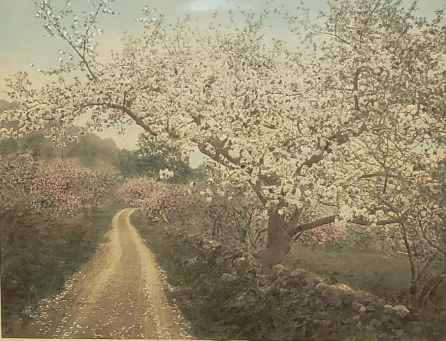 *NUTTING, WALLACE: (1861-1941 American) "A Canopied Road", framed handcolored photograph, having studio signature lower right, approximately 10 1/2" x 13 1/4", with frame 17" x 21".