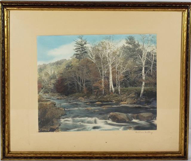 WALLACE NUTTING HAND-TINTED PHOTOGRAPH: Wallace Nutting (1861-1941 American), "Red, White, and Blue", framed hand-tinted photograph, approximately 13 1/2" x 16 1/4", with frame 22" x 26".