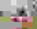 item-82697758=2