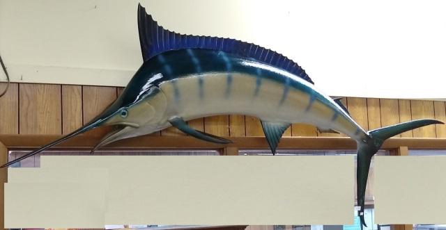 *TROPHY MOUNT: Tarpon, approximate length 8' 4".