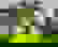 item-801252=4
