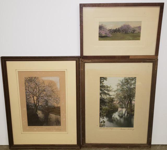 3 WALLACE NUTTING HAND TINTED PHOTOGRAPHS (1 of 4)